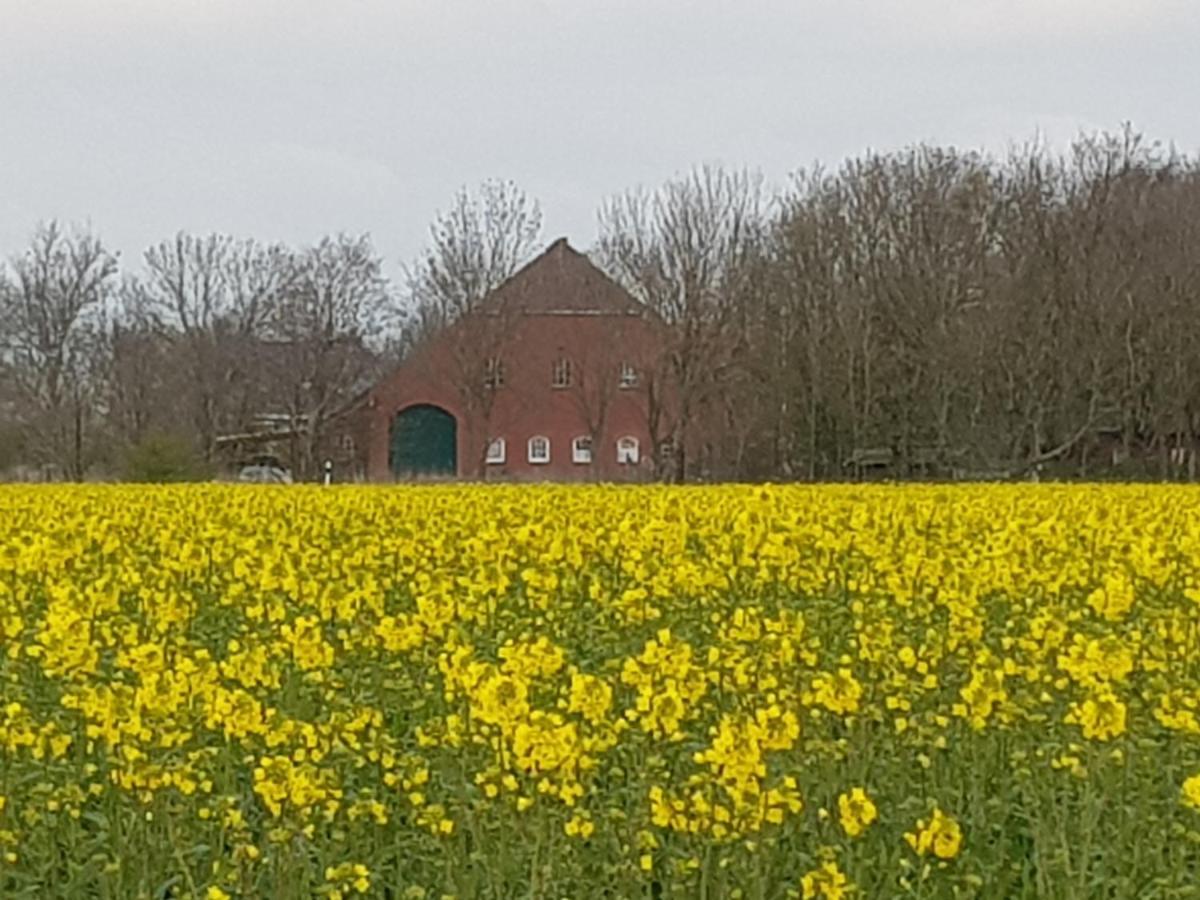 Ferienwohnung Gulfhof Anelis Krummhörn Exterior foto