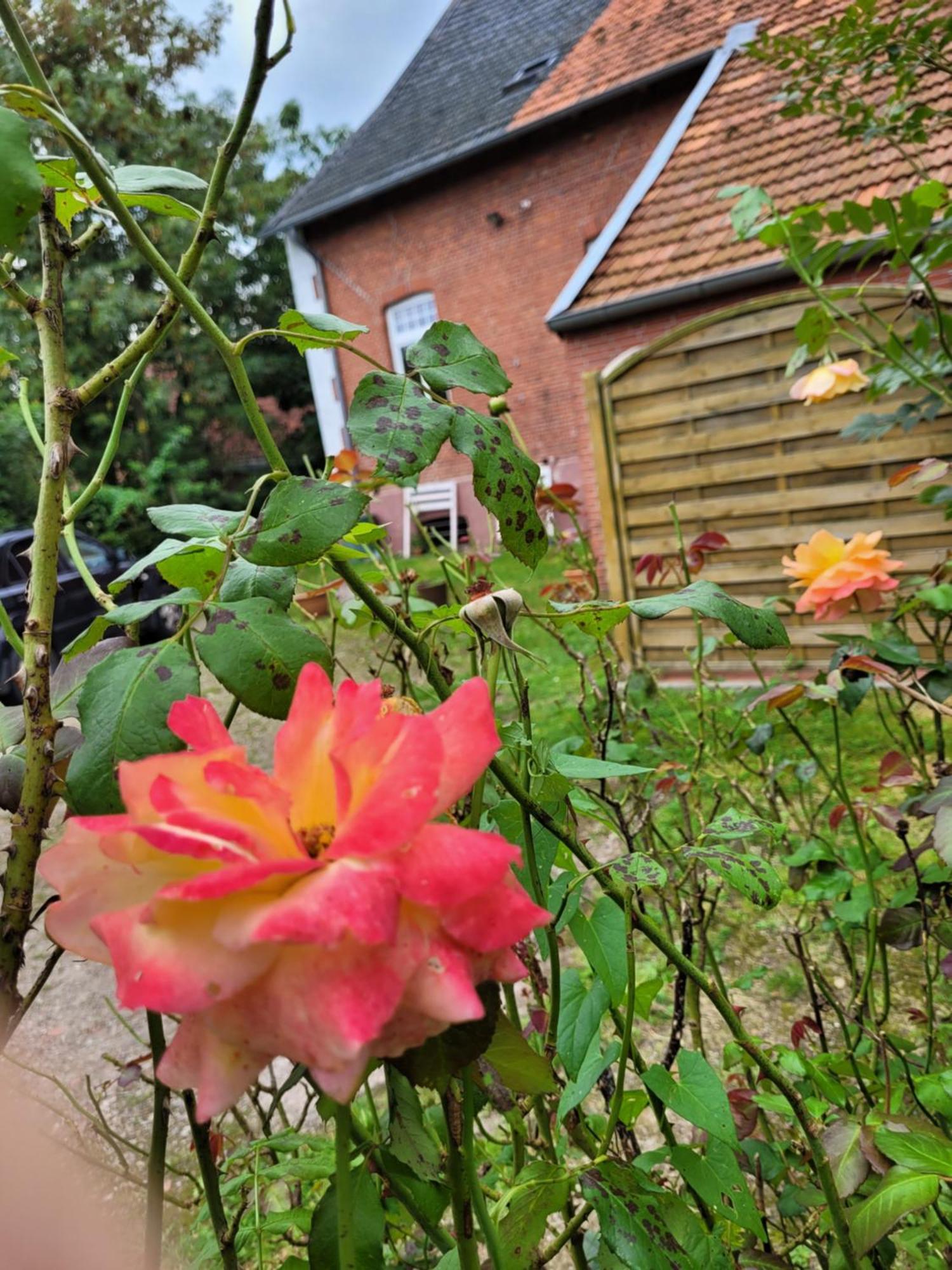 Ferienwohnung Gulfhof Anelis Krummhörn Exterior foto