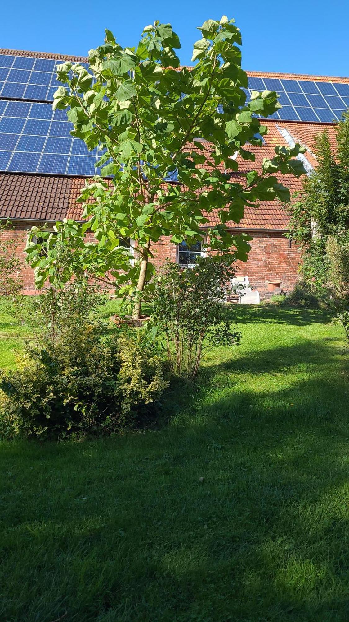 Ferienwohnung Gulfhof Anelis Krummhörn Exterior foto